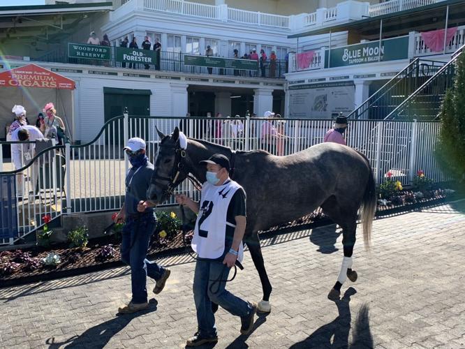 OAKS - PADDOCK - 4-30-2021 2.jfif