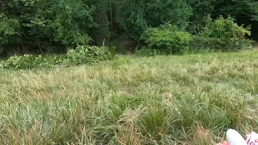 wooded area off Gene Synder