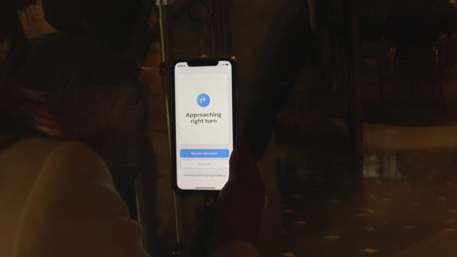 ACCESSIBILITY FOR THE BLIND