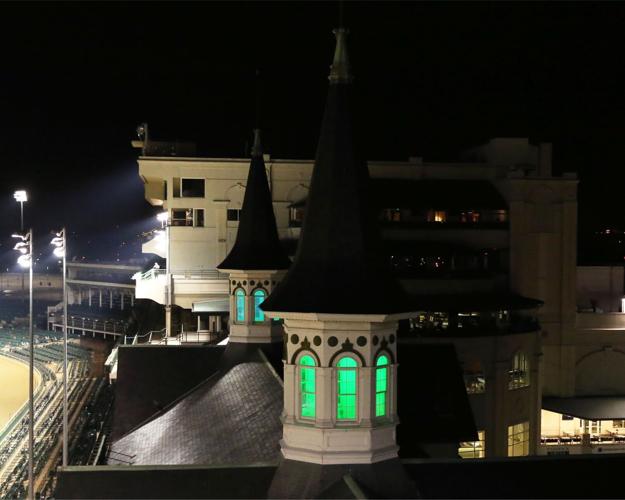 Donate Life Spires - 1