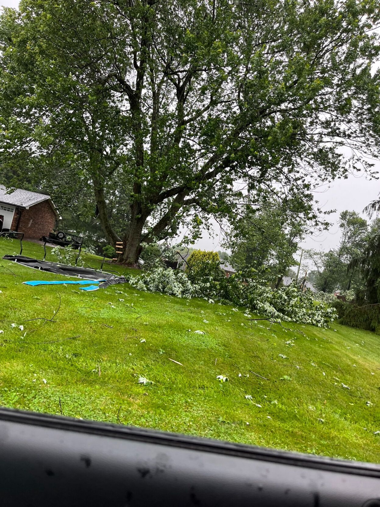 Storm damage in Bardstown.jpg