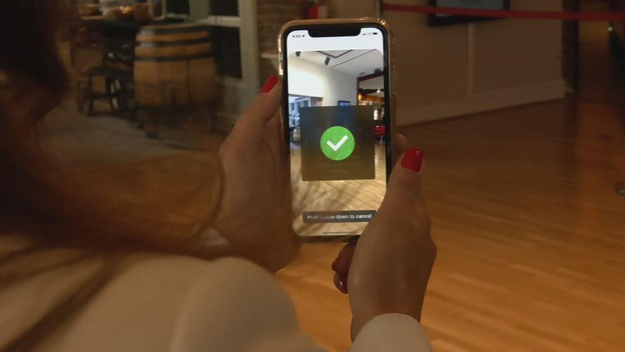 ACCESSIBILITY FOR THE BLIND