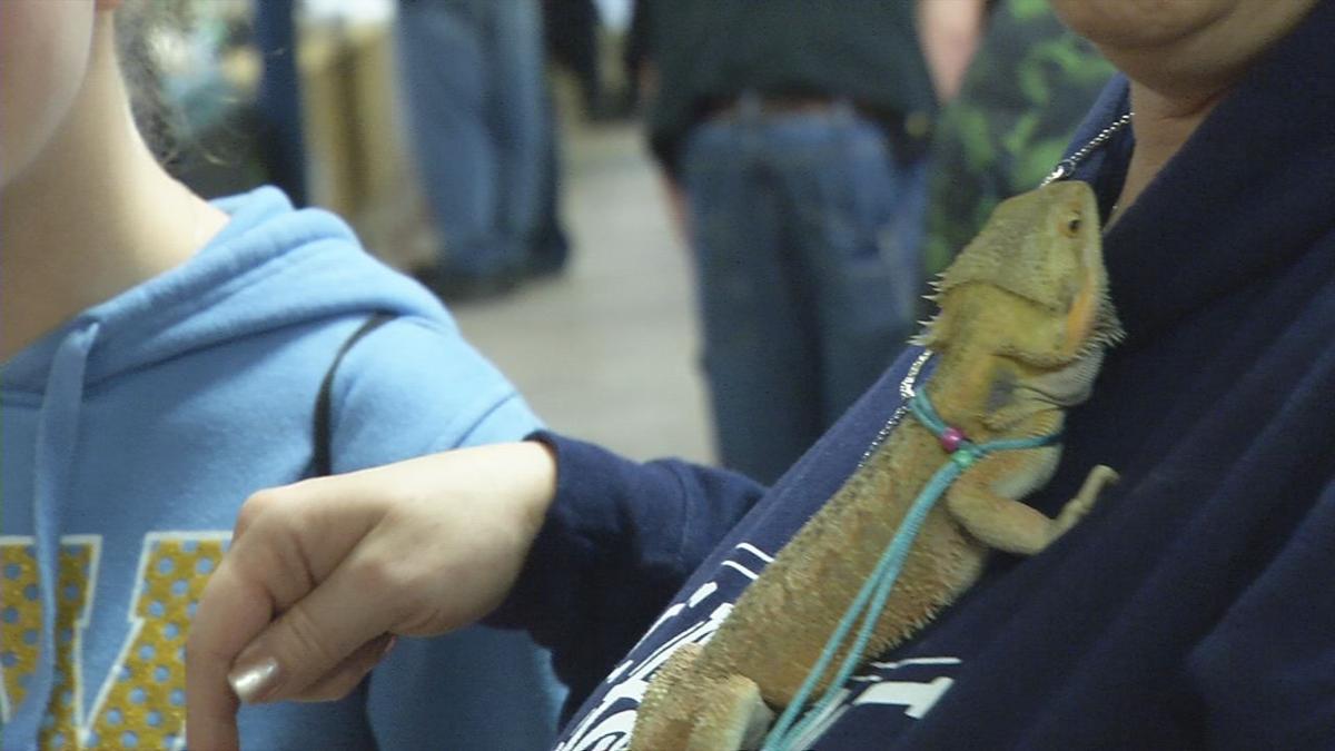 IMAGES Inside the Indiana Reptile Breeders Expo held monthly in