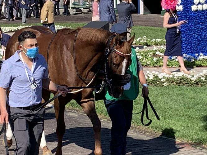 OAKS - PADDOCK - 4-30-2021 4.jfif