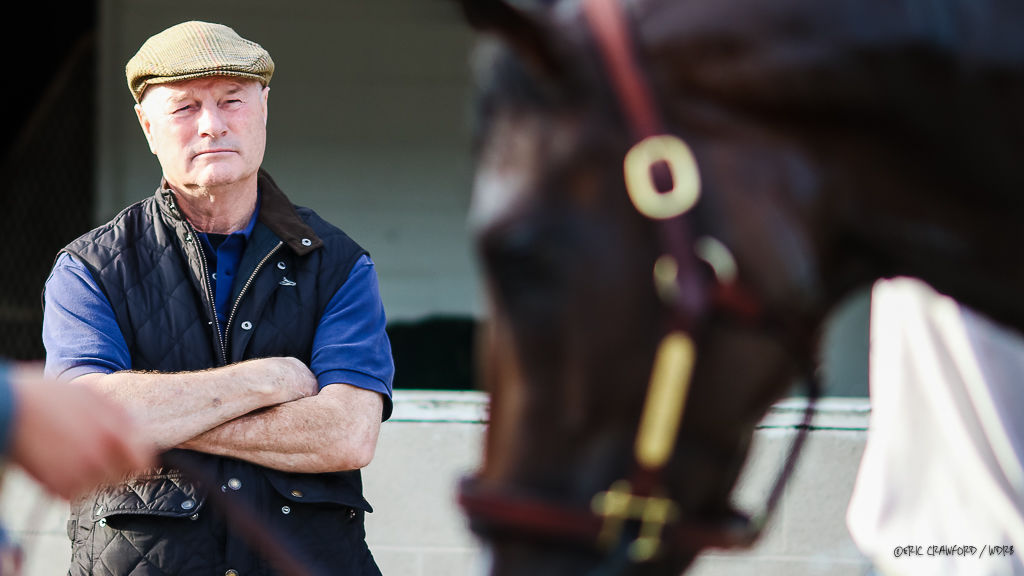 IMAGES See the 2019 Kentucky Derby trainers at work Kentuckyderby