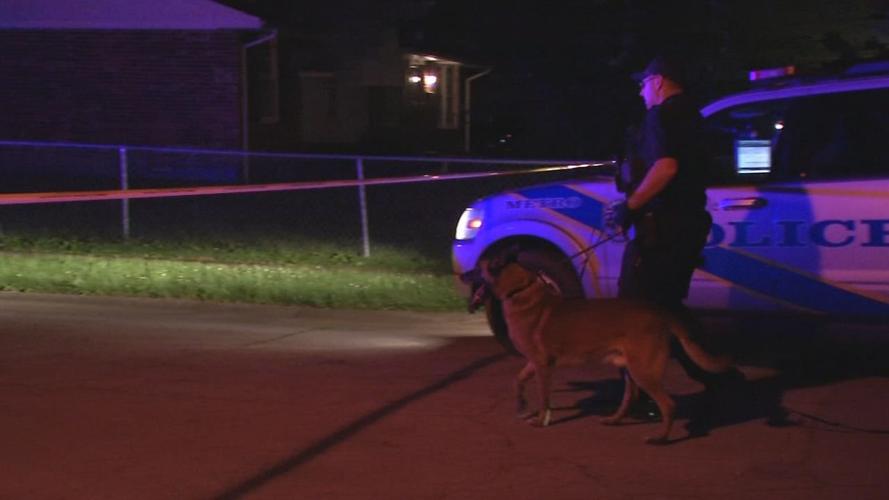 Newburg Murder Scene K9 - 6-10-19