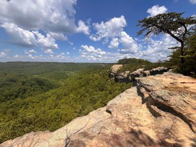 Red River Gorge Auxier Ridge Trail overlook
