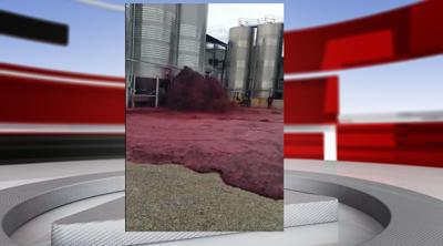 Wine spilt in Spain (Fox News).png