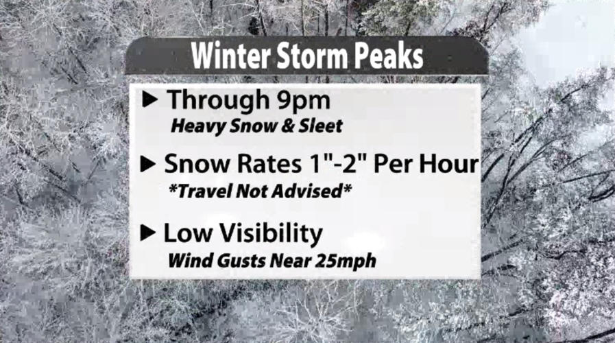 Screen Shot 2021-02-15 at 2.05.44 PM.png