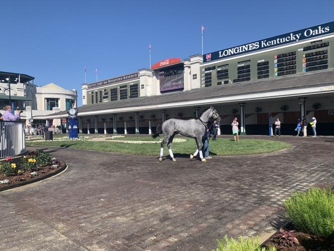 OAKS - PADDOCK - 4-30-2021 5.jfif