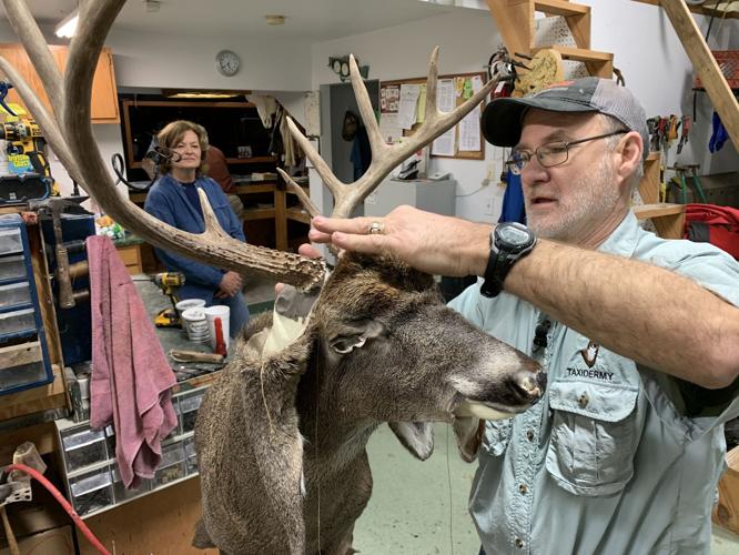 Brad Sturgeon at Sturgeon's Taxidermy