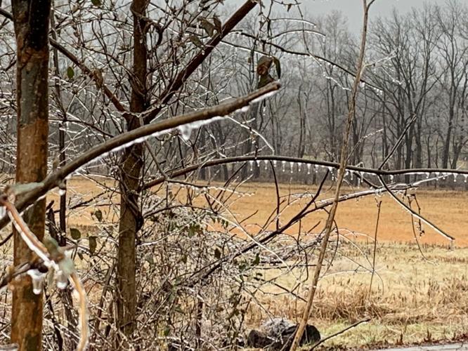 ICE STORM 2-3-2022 - GREENVILE INDIANA NEAR 150 3.jpg