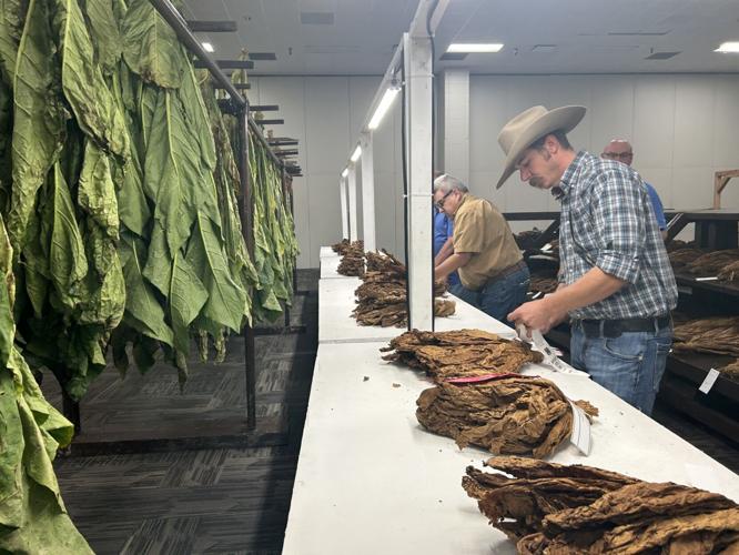 State Fair tobacco.jpg