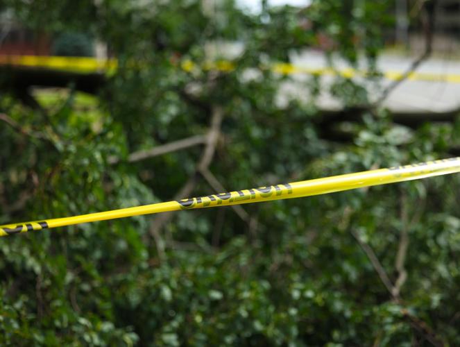 Police tape on the tree