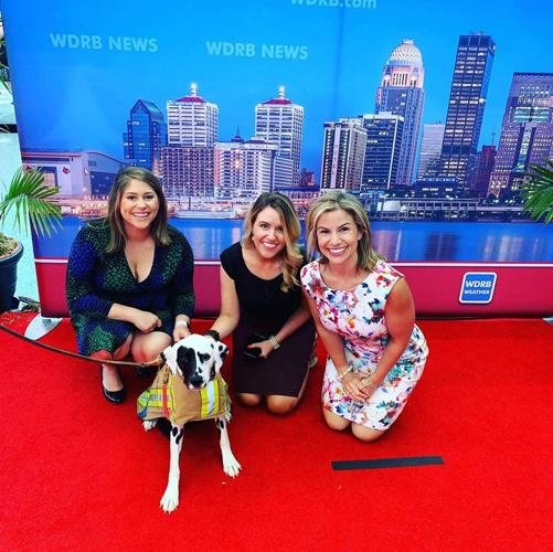 OREO THE FIRE DOG - WDRB BOOTH - 8-18-19 1 -COURTESY OREO BARDSTOWN FIRE DOG ON FACEBOOK 1.jpg