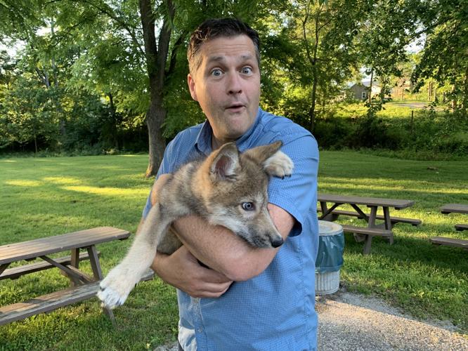 Wilstem Wildlife Park (40).JPG