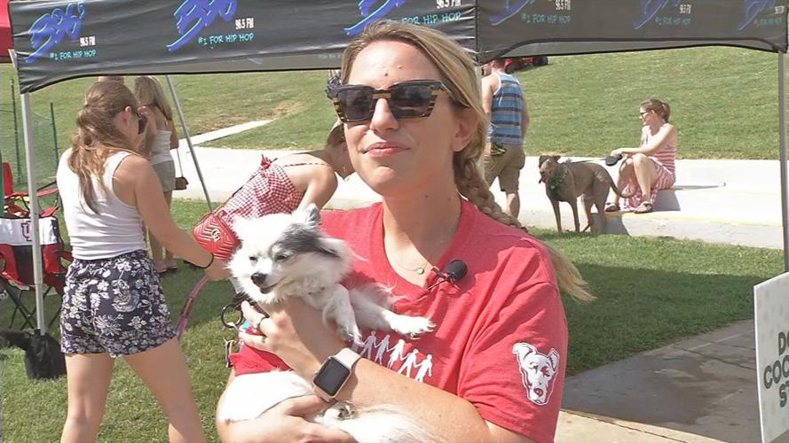 dr raw pooches and pints concatenated 164617_frame_282.jpg