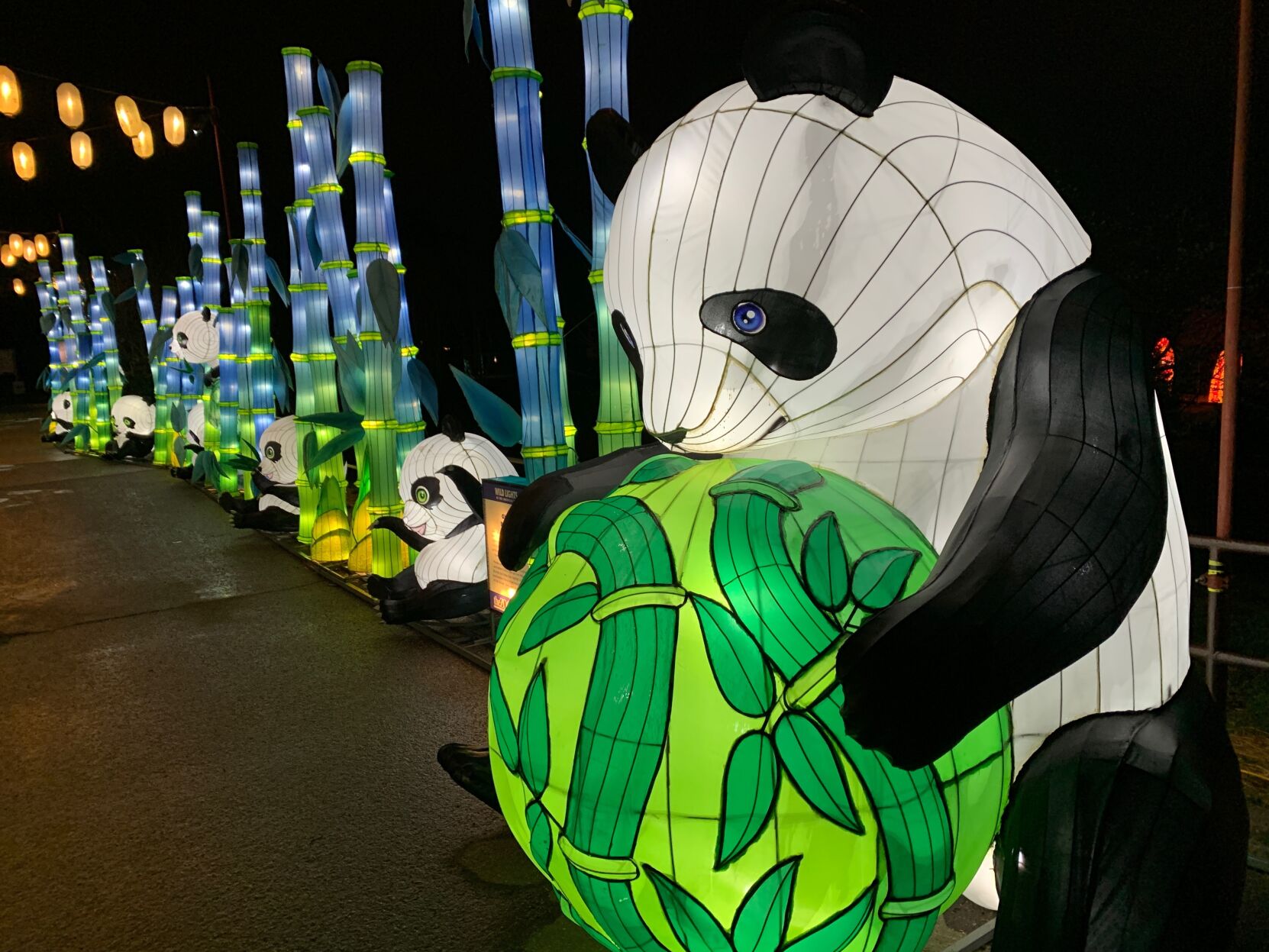 IMAGES | Wild Lights at the Louisville Zoo showcases the art of
