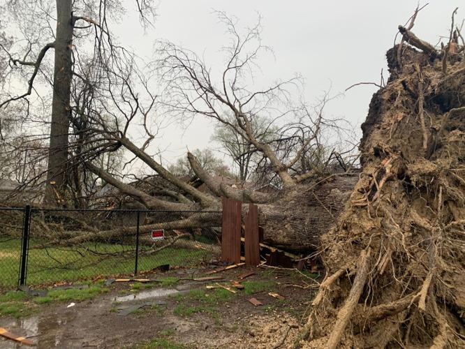 KATRINA NICKELL - STORM DAMAGE - OKOLONA - APRIL 5, 2023 2.jpg