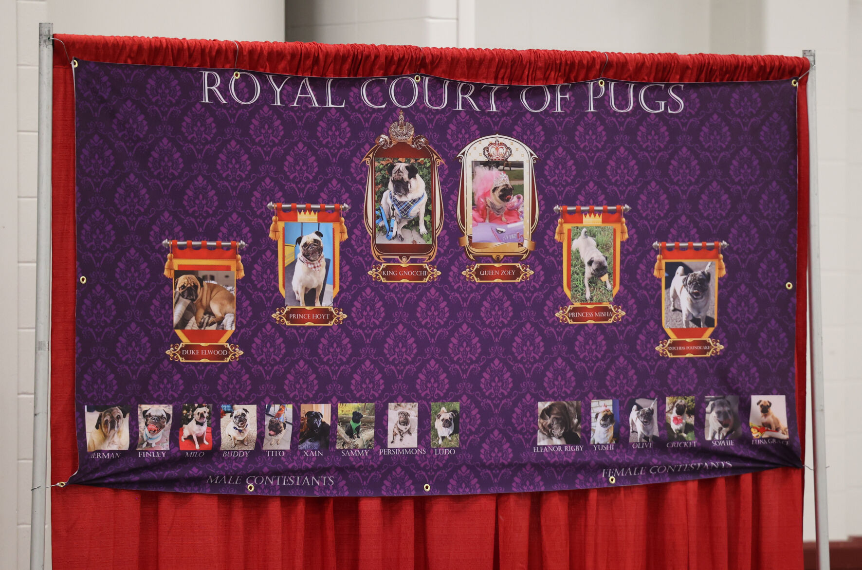 Bluegrass Pugfest signage