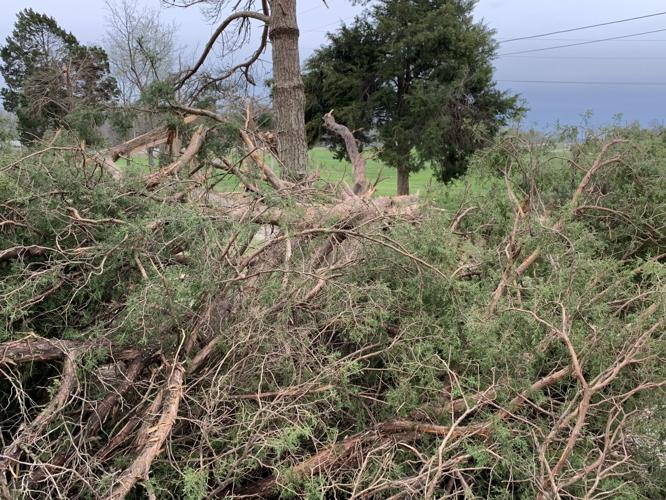 STORM DAMAGE - MEADE COUNTY - POWELL LANE - 4-6-2023  (3).jpg