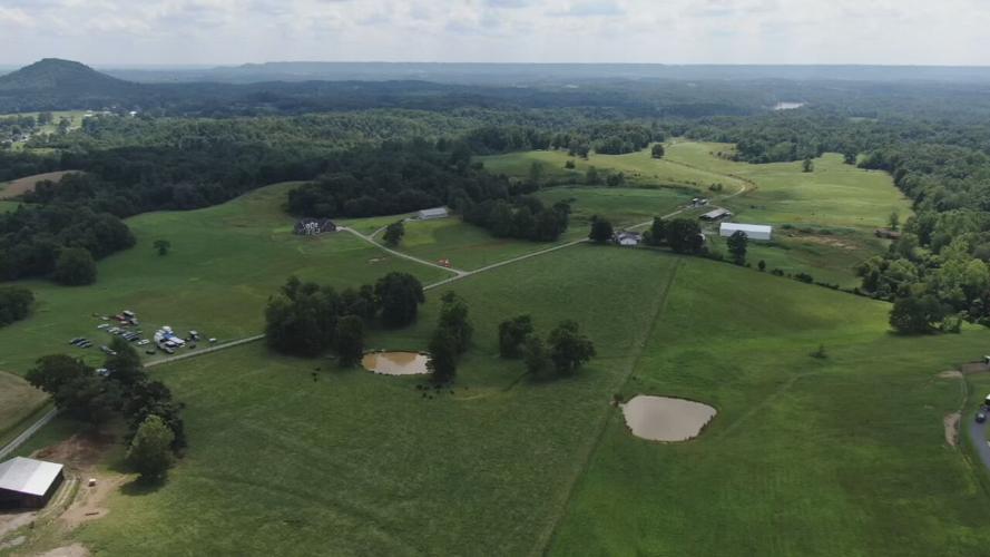 CRYSTAL ROGERS - HOUCK FARM  - POND - 8-6-2020 (3).jpeg
