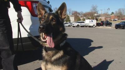 Otto is a K9 at the Elizabethtown Police Department