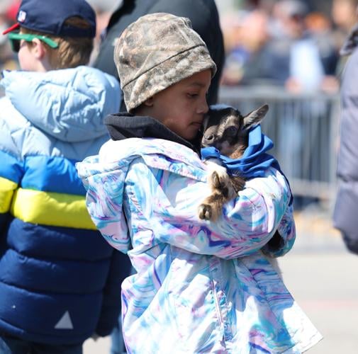 Girl holds baby goat at Bock Fest.JPG