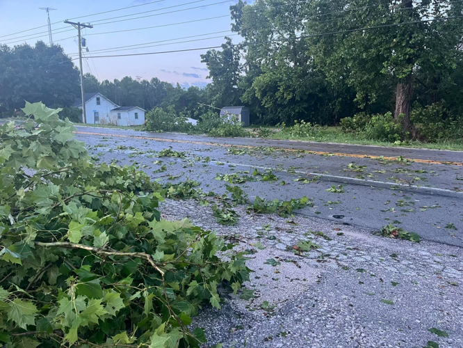 Trees on road in Paoli, Indiana