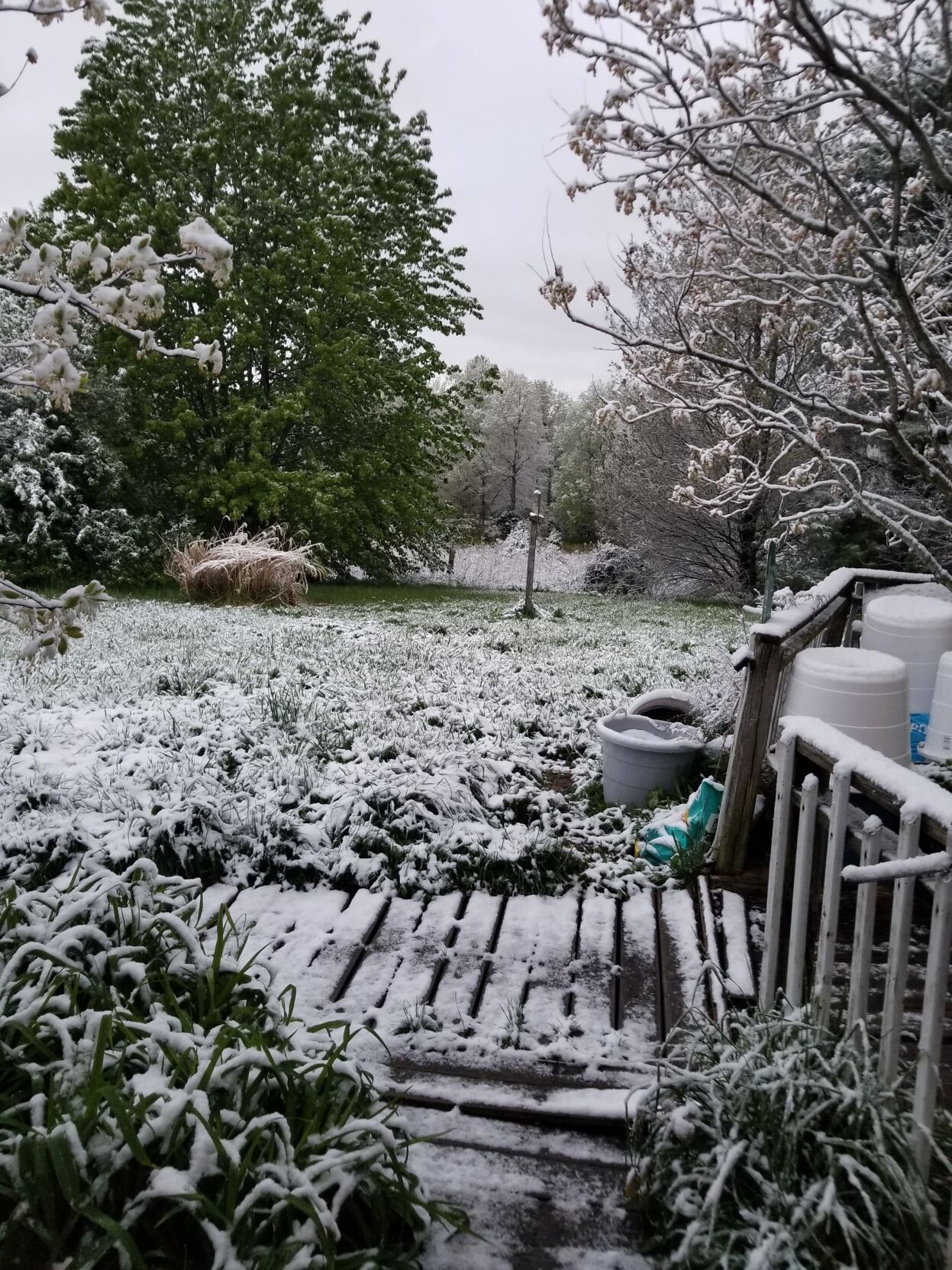 Snow in Mt. Sherman.jpg