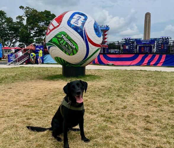 Lori the ATF dog