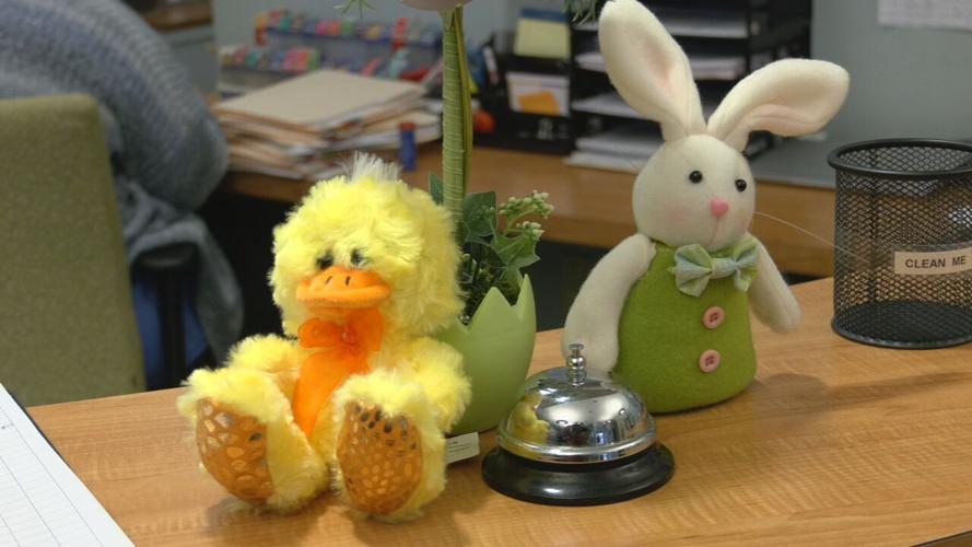 Stuffed animals at the Family & Children's Place