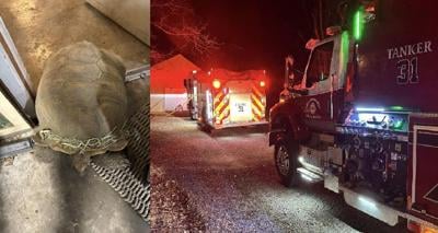 Tri-Township Fire tortoise rescue 01.18.2024.jpg