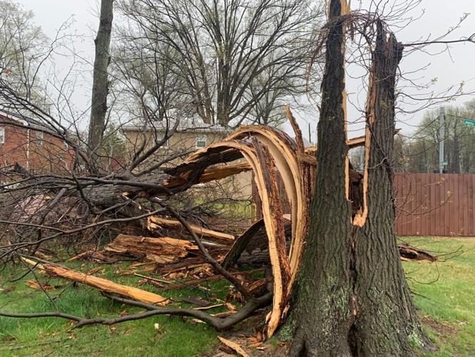 KATRINA NICKELL - STORM DAMAGE - OKOLONA - APRIL 5, 2023.jpg