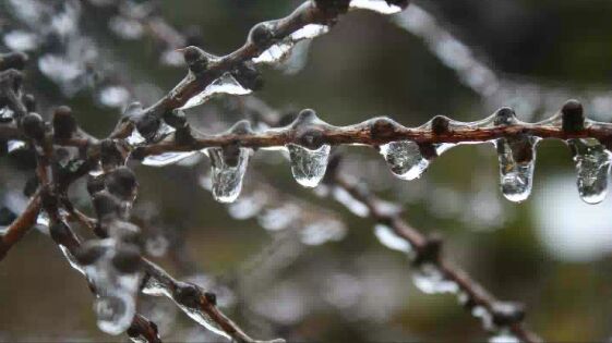 freezing