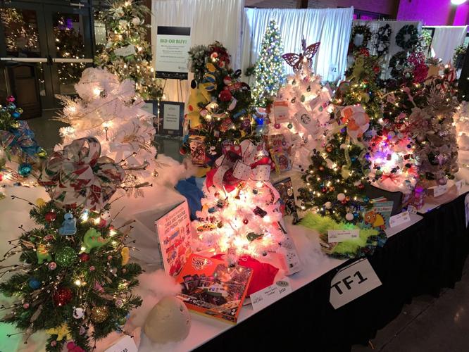 FESTIVAL OF TREES AND LIGHTS 11-11-2022 (18).JPG