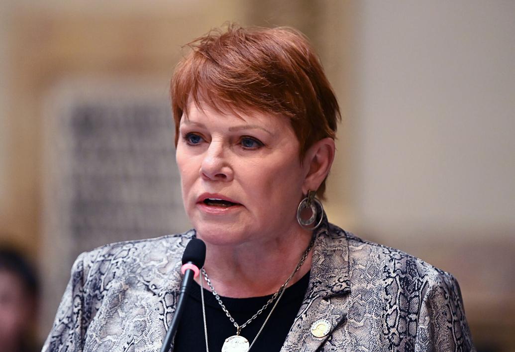 Kentucky state senator Denise Harper Angel will not seek reelection in 2024 Politics