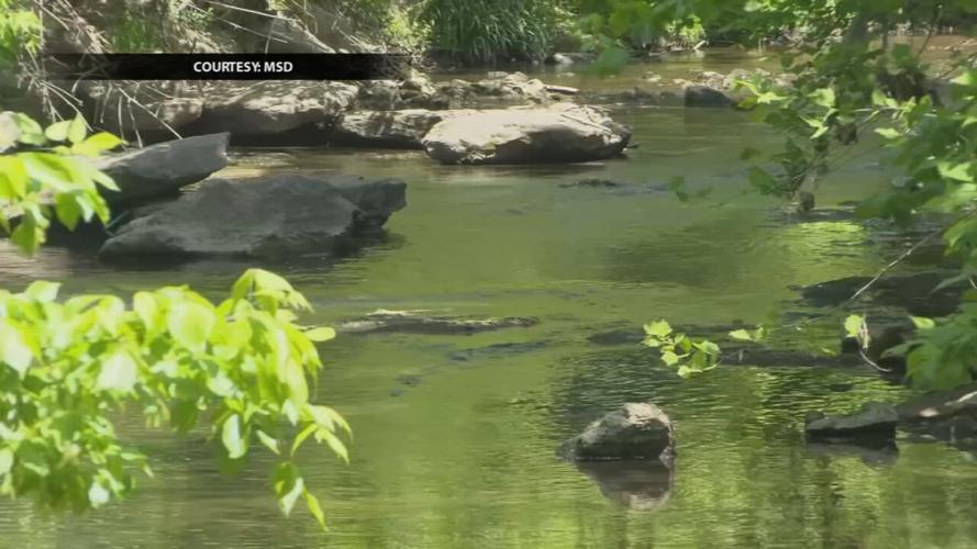 BEARGRASS CREEK IMPROVEMENT PLAN