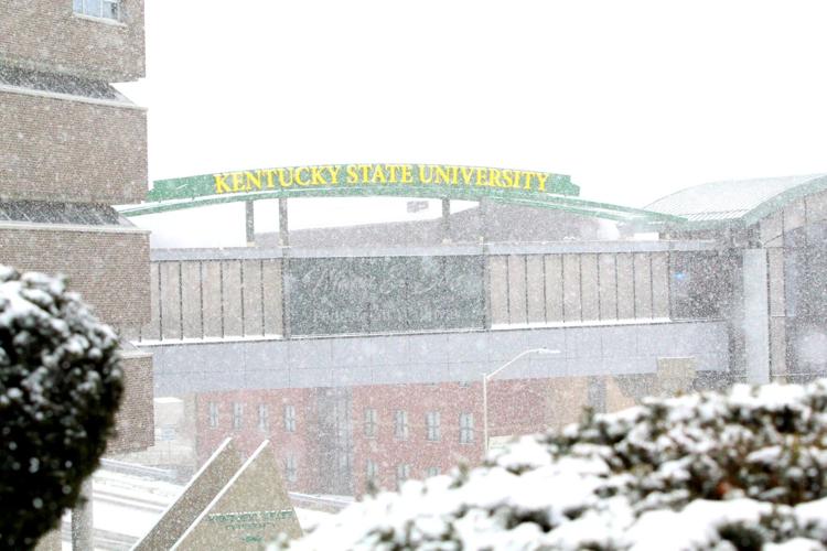 GALLERY: Campus covered in snow after Wednesday snow storm – The Louisville  Cardinal