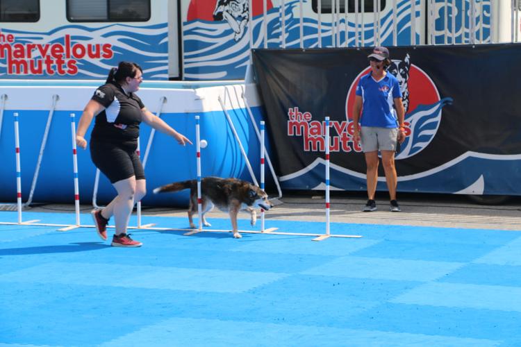 KENTUCKY STATE FAIR 2019 - ENTERTAINMENT DOG ACT (2).jpg