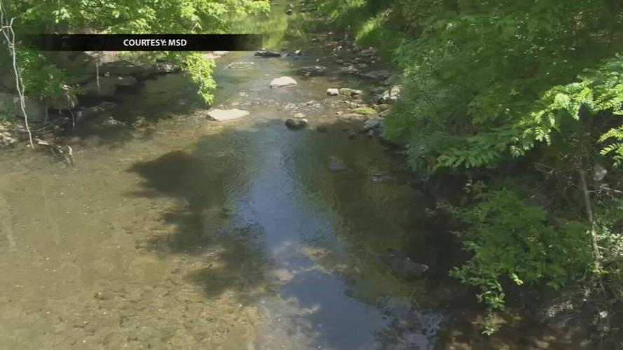 BEARGRASS CREEK IMPROVEMENT PLAN