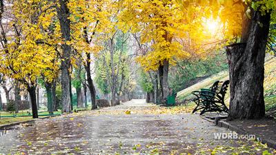 November Weather Outlook