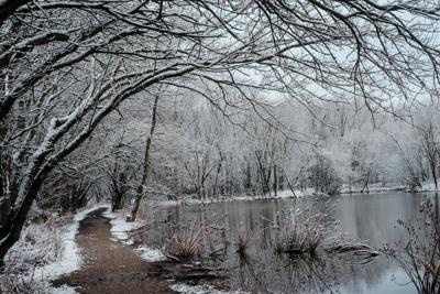 New Albany's Loop Island Wetlands trail-city photo