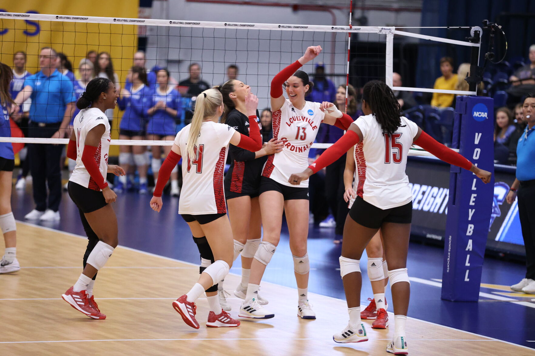 Louisville Volleyball Ready For Rivalry Rematch With Pitt In Elite ...