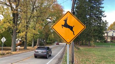Deer crossing sign