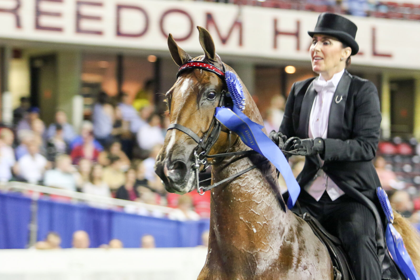 2022 World S Championship Horse Show Kicks Off Aug 20 At Kentucky   62ffd8d82e332.image 