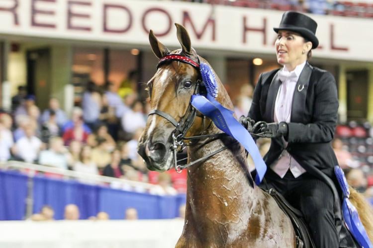 WORLD CHAMPIONSHIP HORSE SHOW 2018 - FREEDOM HALL  (3).jpg