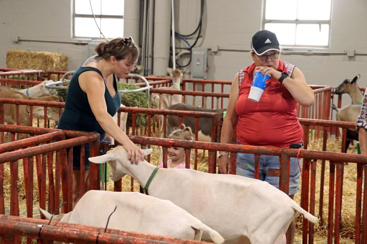 Patrons at the 2022 Kentucky State Far pet goats in the livestock exhibit