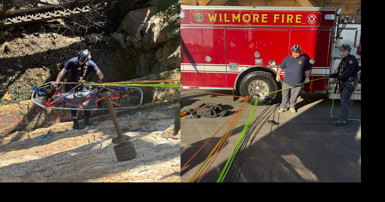 Kentucky firefighters rescue dog injured in 40-foot fall