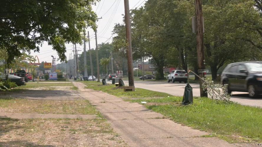 S 3RD STREET TREE VANDALISM.jpeg
